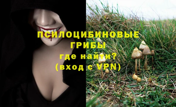 гидропоника Богданович