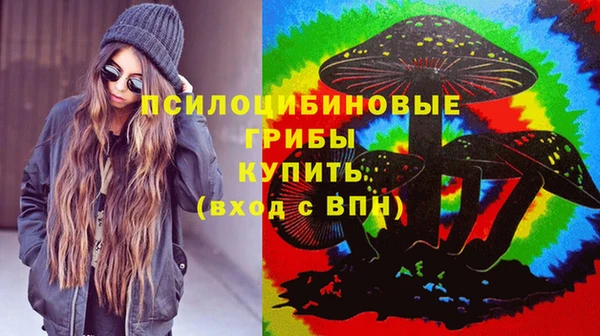 гидропоника Богданович