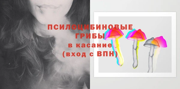 гидропоника Богданович
