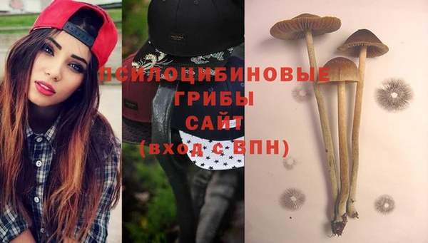 гидропоника Богданович