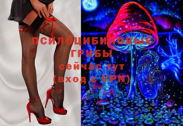 спиды Богородск