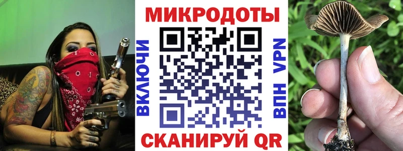 Купить закладки  Великий Новгород  Псилоцибиновые грибы Cubensis 
